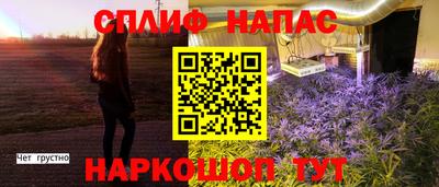 ешки Бийск