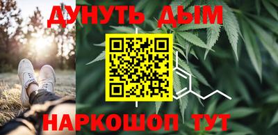 ешки Бийск