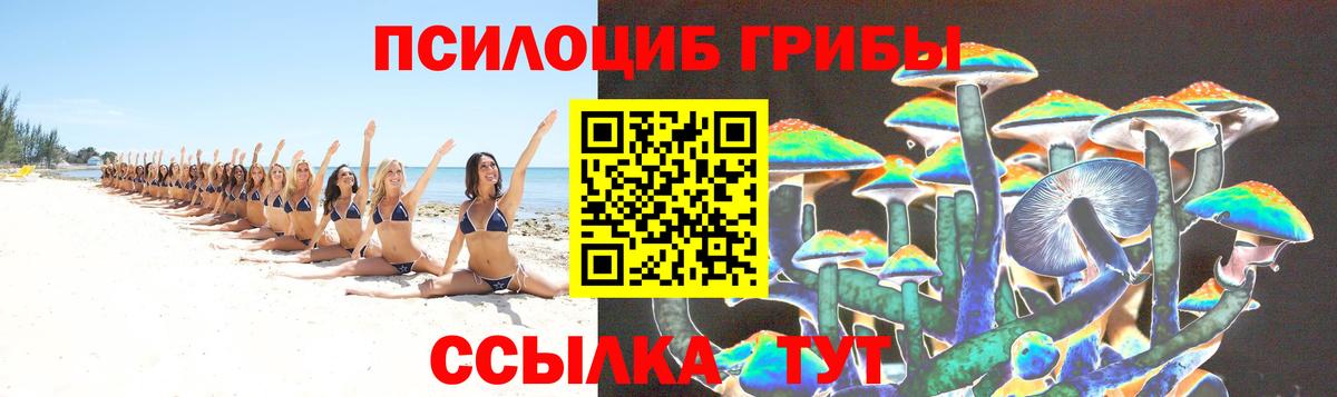 Псилоцибиновые грибы прущие грибы  Вход с VPN  Кисловодск 